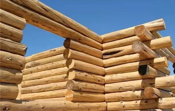 1513388179363618.jpg 9.jpg