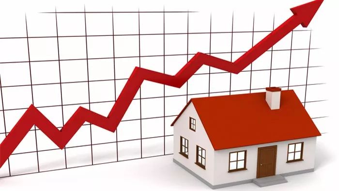 1513388426114739.jpg 12.jpg