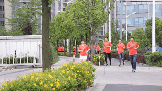 1527212216125902.gif 25.gif